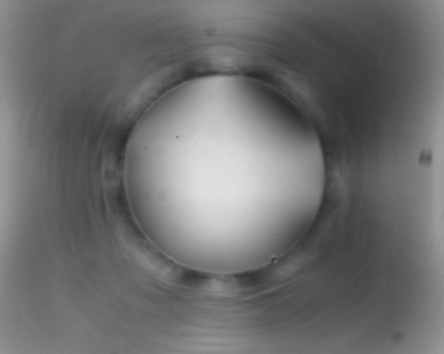 X0000114640317200910201448