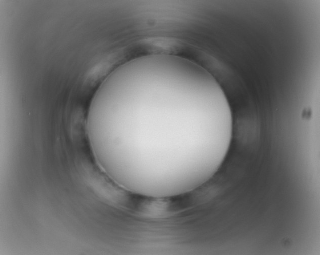 X0000114640318200910201448