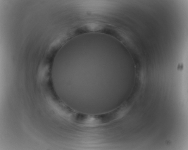 X0000114640319200910201448
