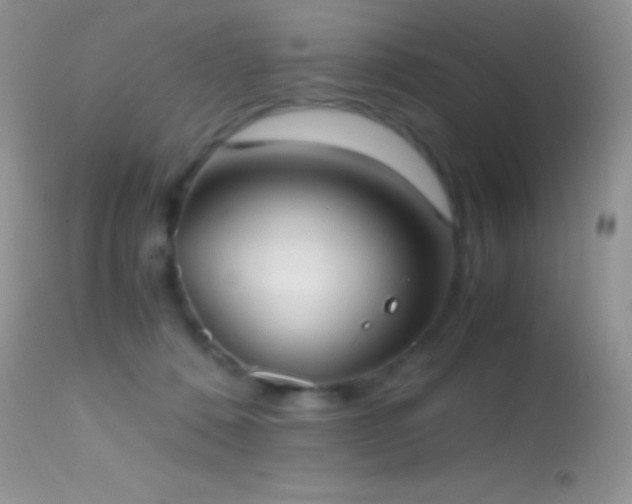 X0000114640320200910201448