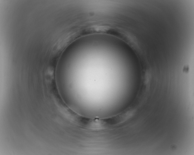 X0000114640321200910201448