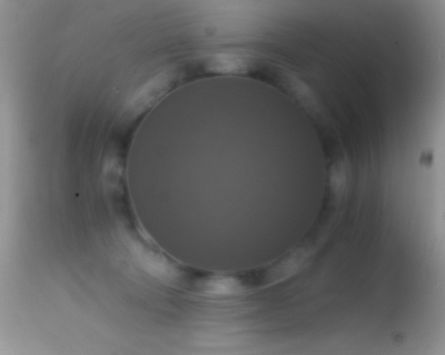 X0000114640322200910201448