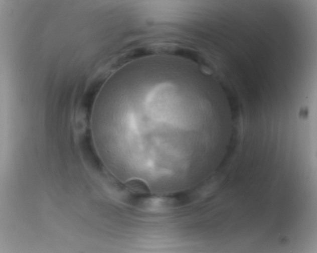 X0000114640323200910201448