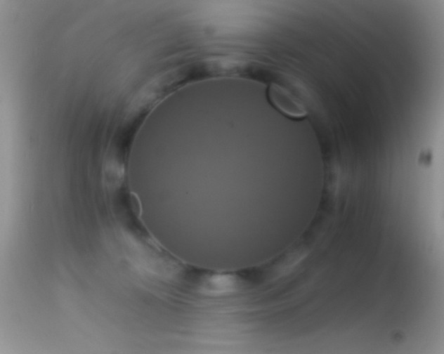 X0000114640324200910201448