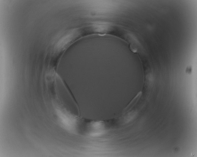 X0000114640325200910201448