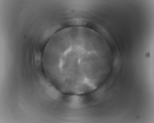 X0000114640326200910201448
