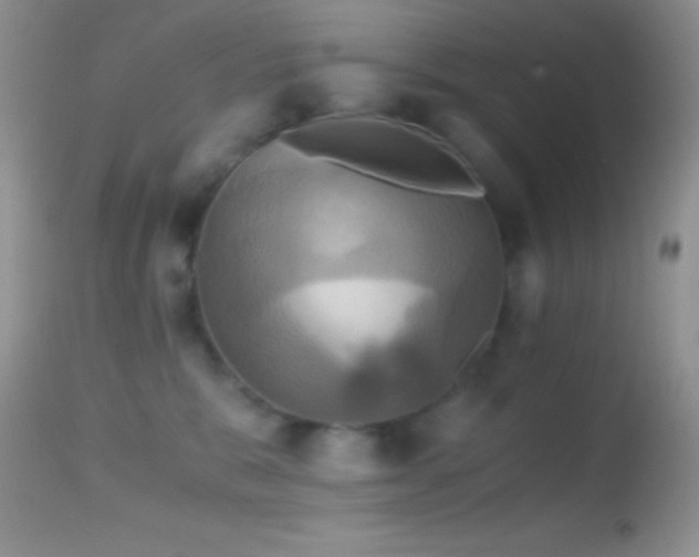 X0000114640327200910201448