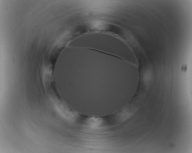 X0000114640328200910201448