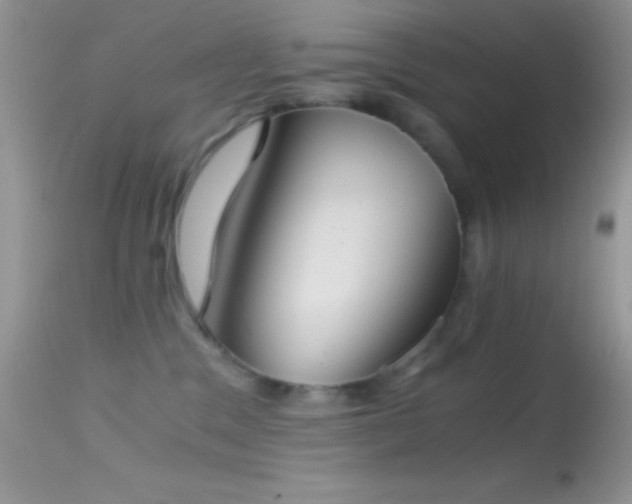X0000114640329200910201448