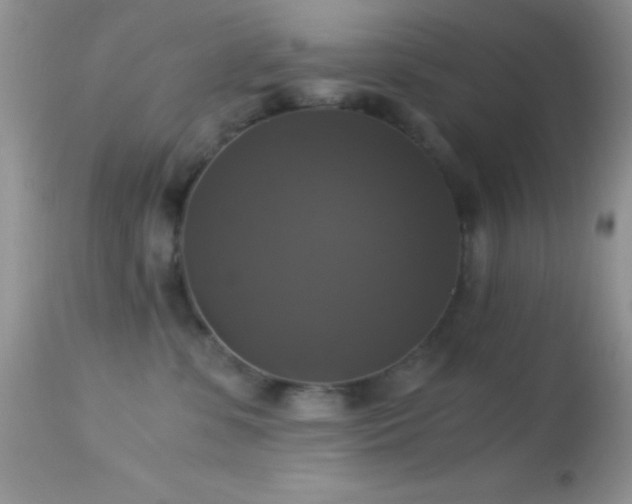 X0000114640331200910201448