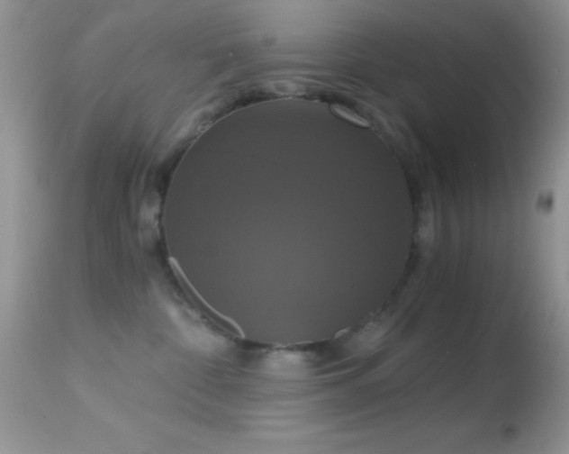 X0000114640332200910201448