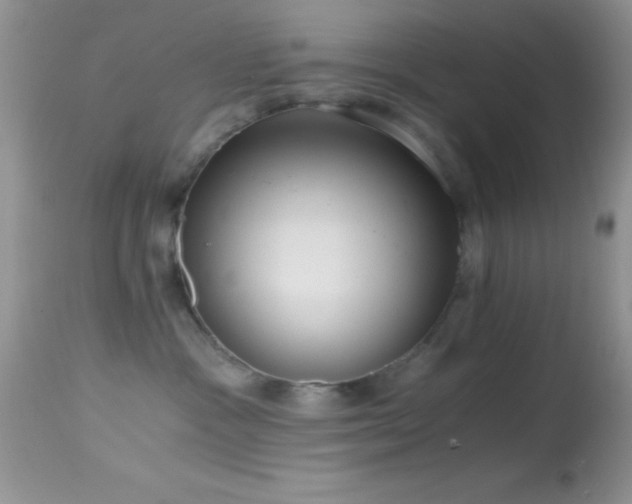 X0000114640333200910201448
