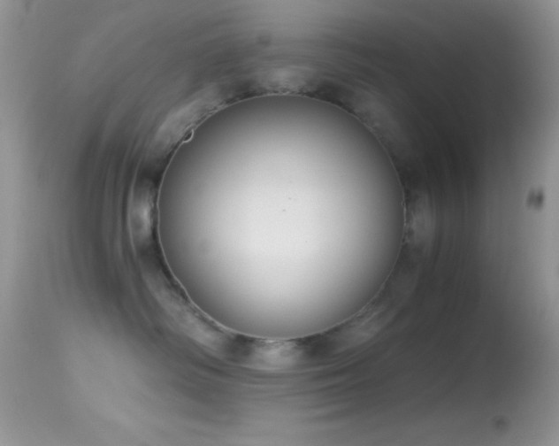 X0000114640334200910201448