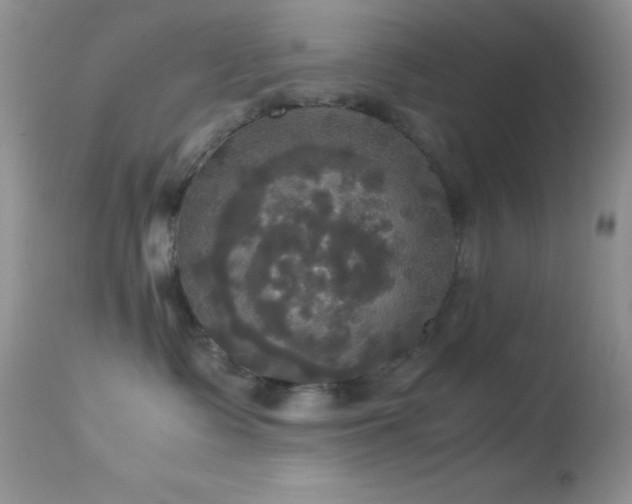 X0000114640335200910201448