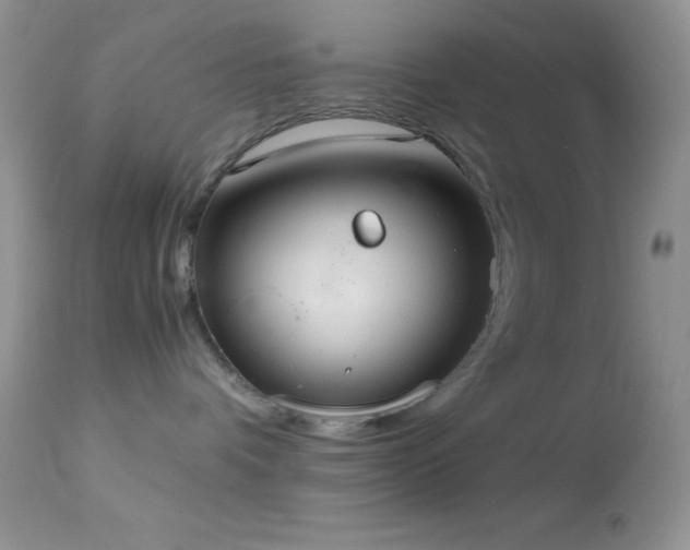 X0000114640336200910201448