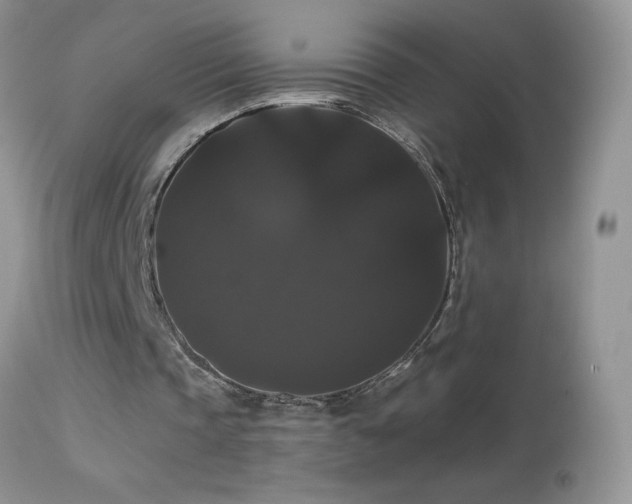 X0000114640337200910201447