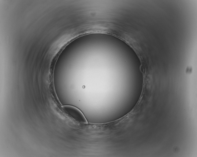 X0000114640338200910201447