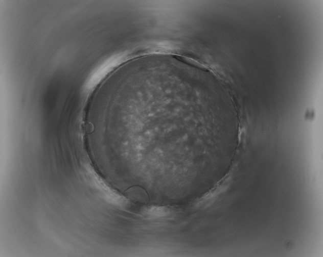 X0000114640341200910201447