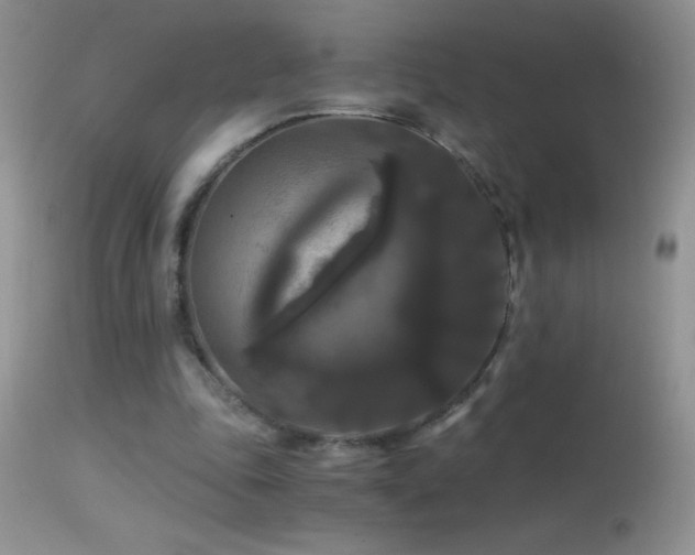 X0000114640343200910201447