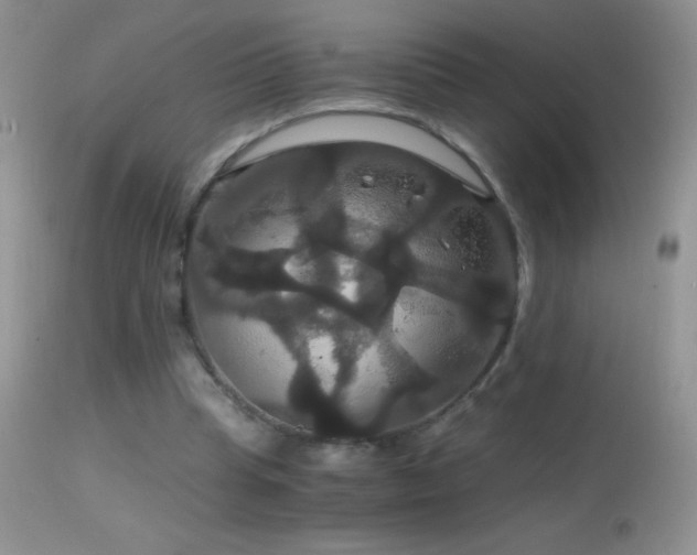 X0000114640345200910201447