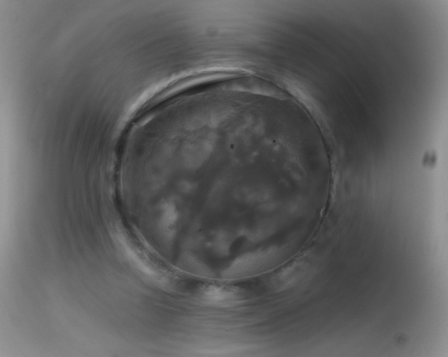 X0000114640346200910201447
