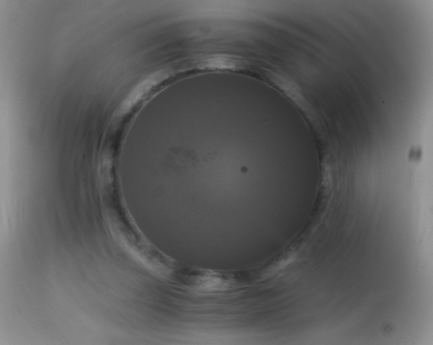 X0000114640347200910201447