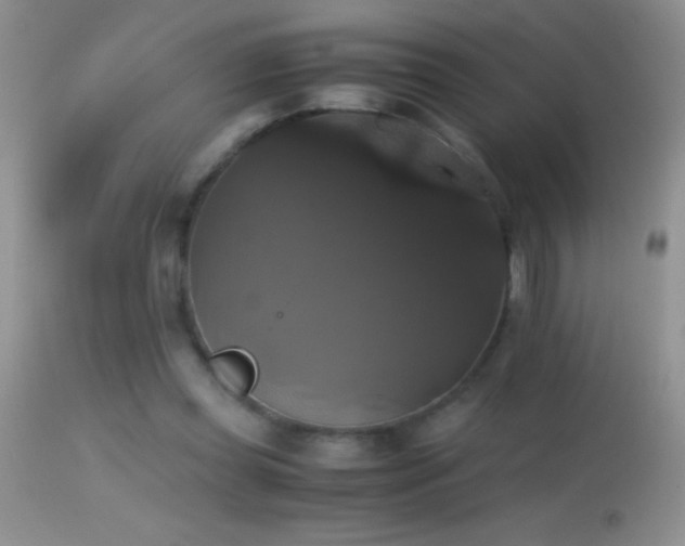 X0000114640349200910201447