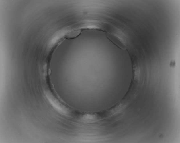 X0000114640350200910201447
