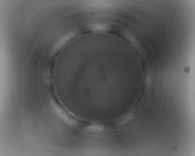 X0000114640353200910201447