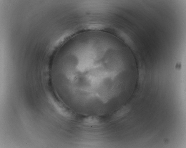 X0000114640354200910201448