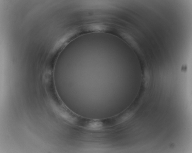 X0000114640355200910201448