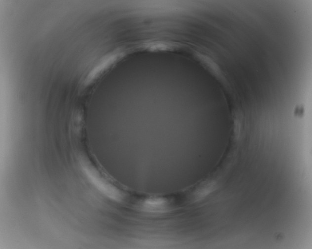 X0000114640357200910201448