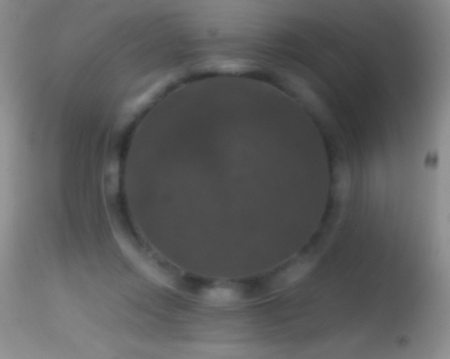 X0000114640358200910201448