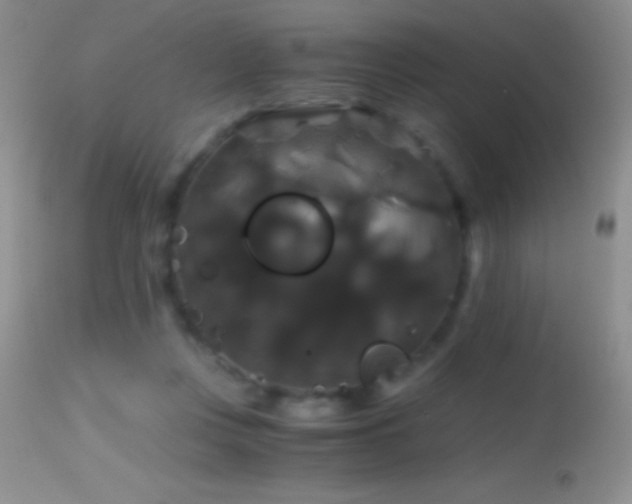 X0000114640359200910201448