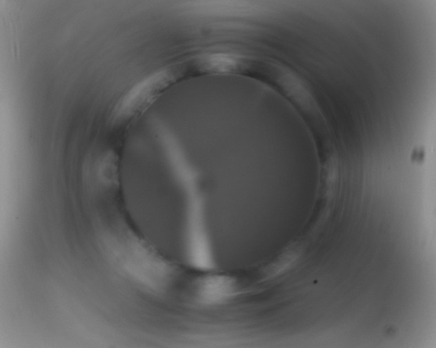 X0000114640361200910201448
