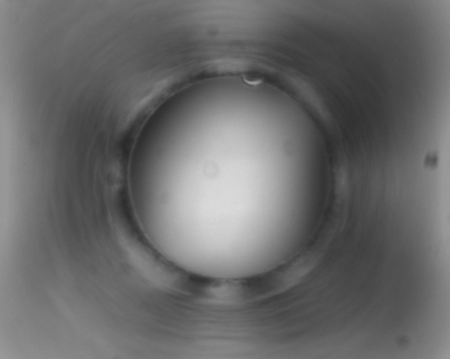 X0000114640362200910201448