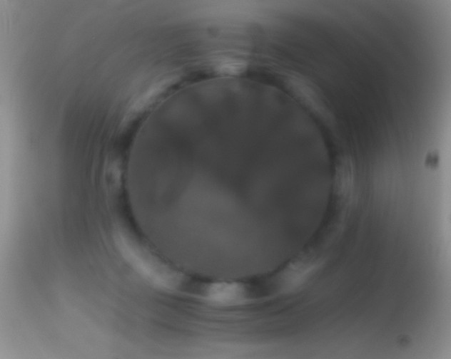 X0000114640363200910201448