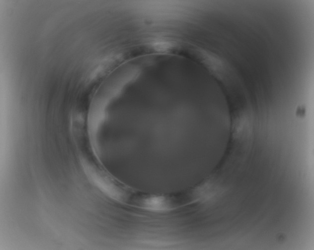 X0000114640365200910201448