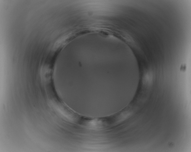 X0000114640366200910201448