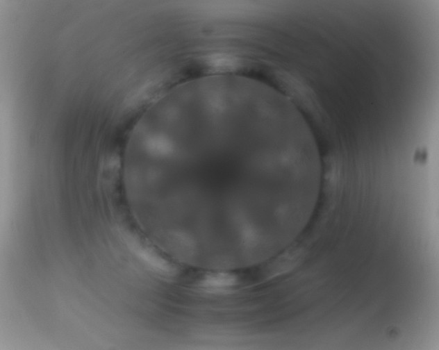 X0000114640369200910201448
