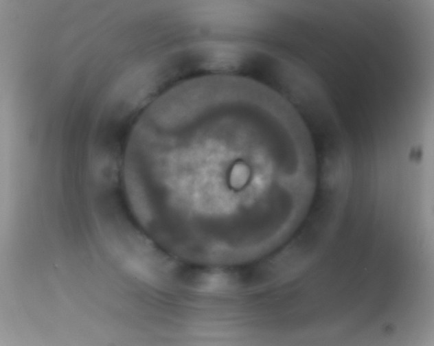 X0000114640370200910201448