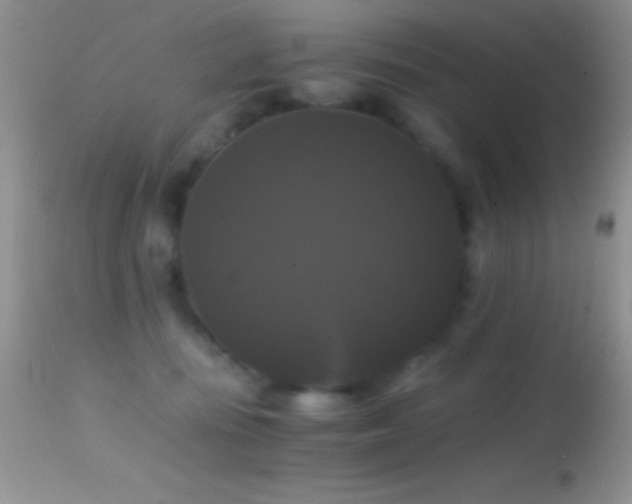 X0000114640371200910201448