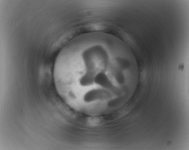 X0000114640373200910201448