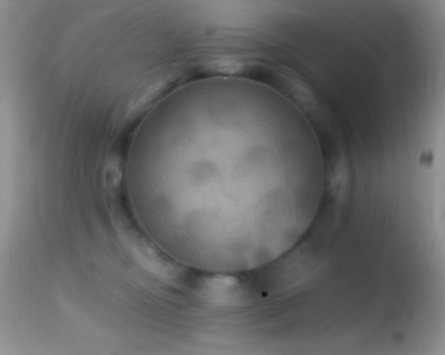X0000114640374200910201448