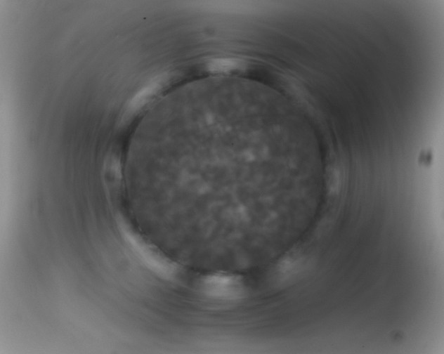 X0000114640375200910201448