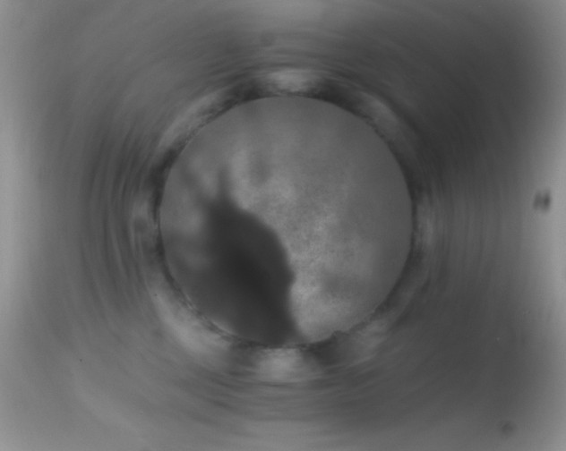 X0000114640377200910201448