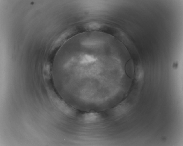 X0000114640378200910201448