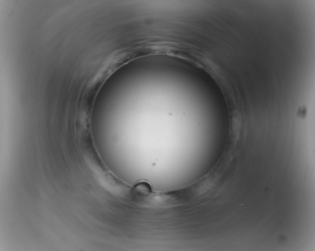 X0000114640379200910201448