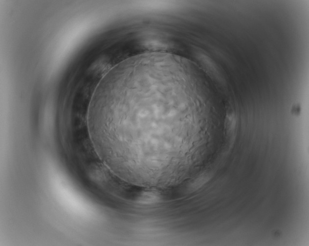X0000114640381200910201448