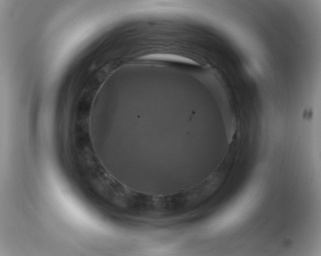 X0000114640383200910201448